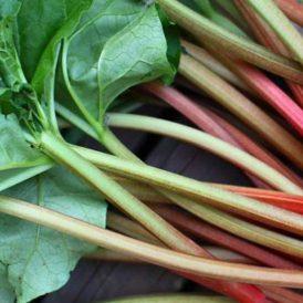 My Kingdom for Some Rhubarb Image